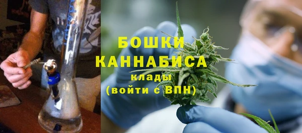 прущие грибы Наволоки