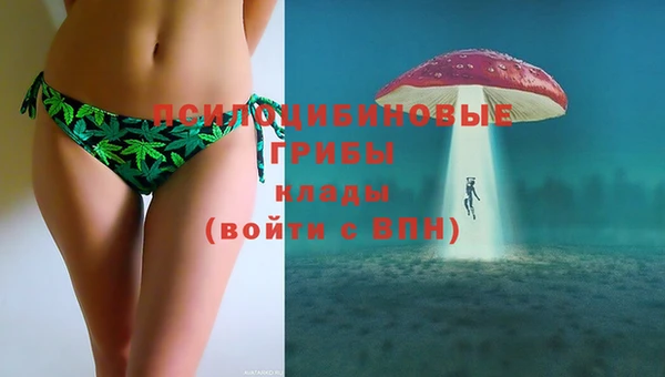 крисы Алексеевка