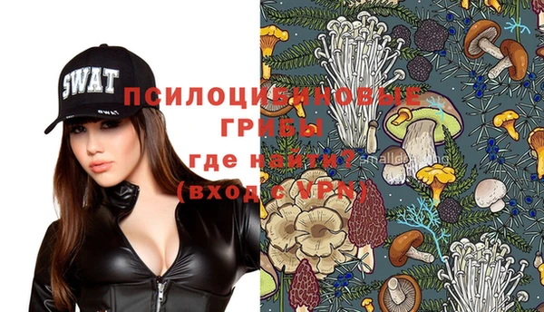крисы Алексеевка