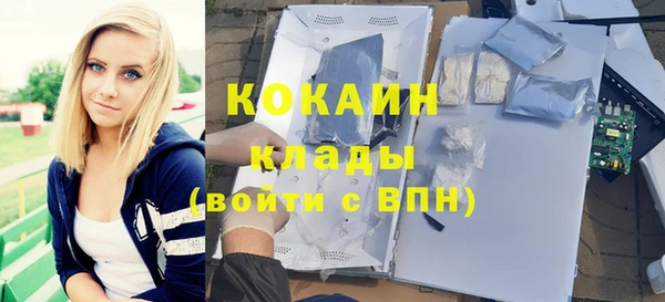 бошки Алексин