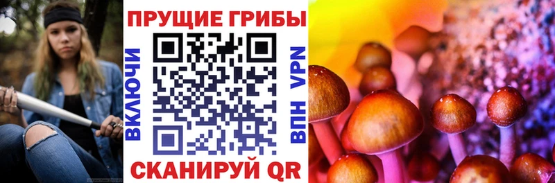 Галлюциногенные грибы GOLDEN TEACHER  Безенчук 
